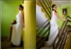g7efeb721-e94d-4670-be93-193822aefb91.jpg